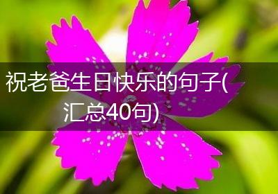 祝老爸生日快乐的句子(汇总40句)