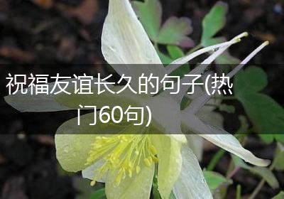 祝福友谊长久的句子(热门60句)