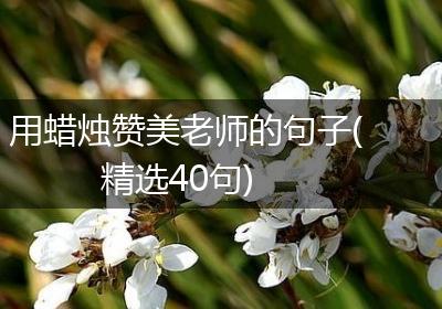 用蜡烛赞美老师的句子(精选40句)