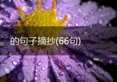 的句子摘抄(66句)