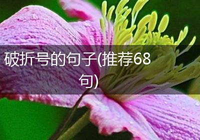 破折号的句子(推荐68句)