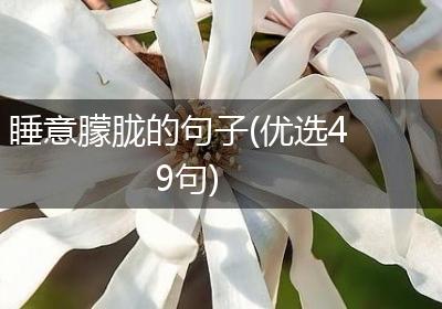 睡意朦胧的句子(优选49句)