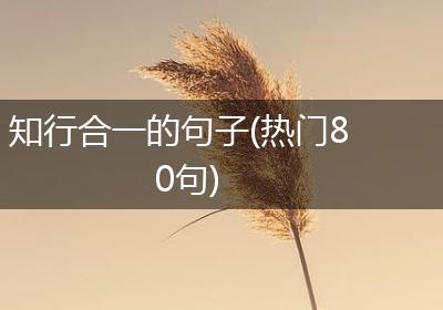 知行合一的句子(热门80句)