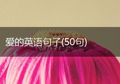 爱的英语句子(50句)