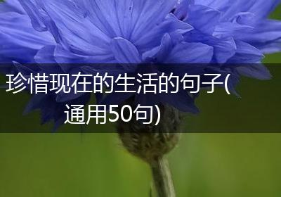 珍惜现在的生活的句子(通用50句)