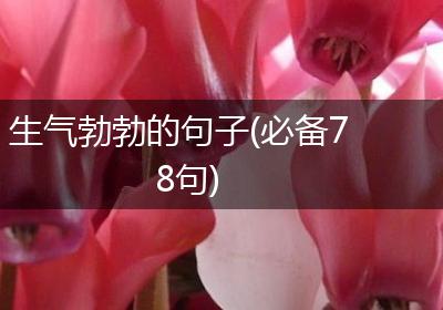 生气勃勃的句子(必备78句)