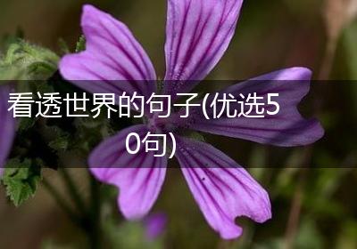 看透世界的句子(优选50句)