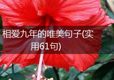 相爱九年的唯美句子(实用61句)