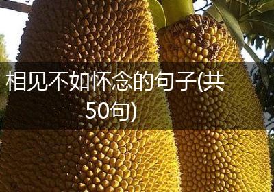相见不如怀念的句子(共50句)