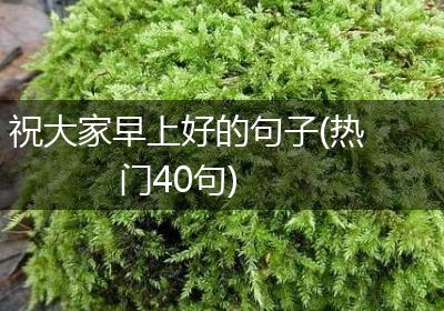 祝大家早上好的句子(热门40句)