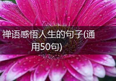 禅语感悟人生的句子(通用50句)