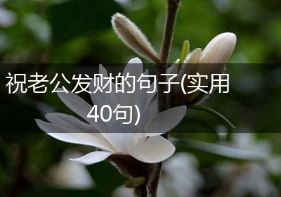 祝老公发财的句子(实用40句)