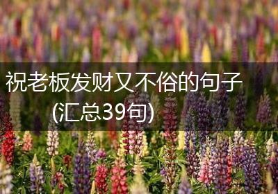 祝老板发财又不俗的句子(汇总39句)
