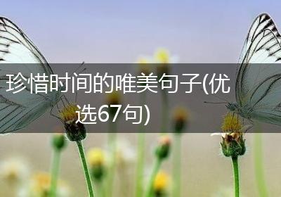 珍惜时间的唯美句子(优选67句)