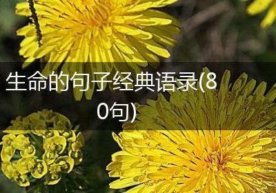 生命的句子经典语录(80句)