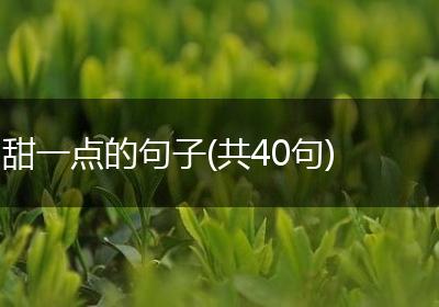 甜一点的句子(共40句)