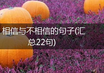 相信与不相信的句子(汇总22句)