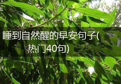 睡到自然醒的早安句子(热门40句)