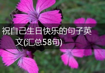 祝自己生日快乐的句子英文(汇总58句)