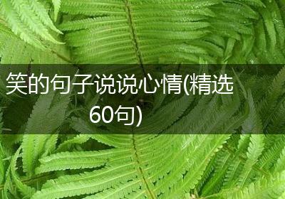 笑的句子说说心情(精选60句)