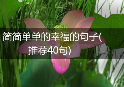 简简单单的幸福的句子(推荐40句)