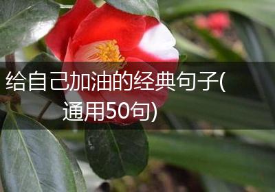 给自己加油的经典句子(通用50句)