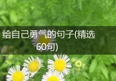 给自己勇气的句子(精选60句)