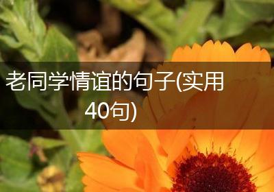 老同学情谊的句子(实用40句)