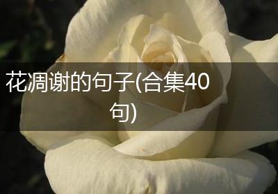 花凋谢的句子(合集40句)