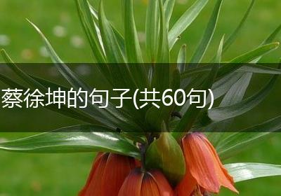蔡徐坤的句子(共60句)