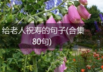 给老人祝寿的句子(合集80句)
