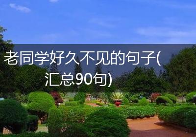 老同学好久不见的句子(汇总90句)