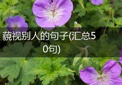 藐视别人的句子(汇总50句)