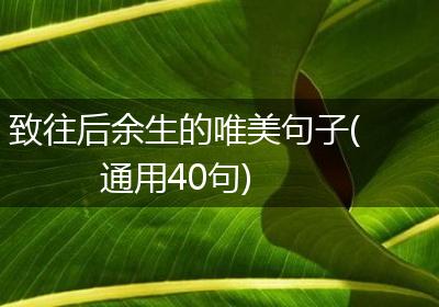 致往后余生的唯美句子(通用40句)