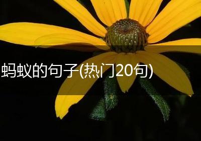 蚂蚁的句子(热门20句)