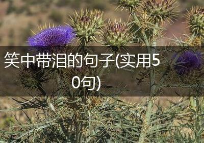 笑中带泪的句子(实用50句)