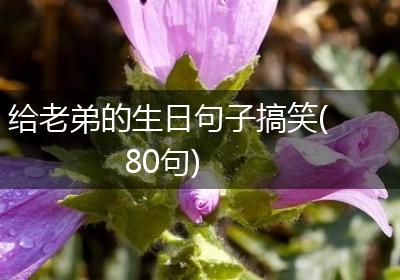 给老弟的生日句子搞笑(80句)