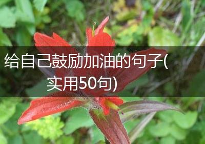 给自己鼓励加油的句子(实用50句)