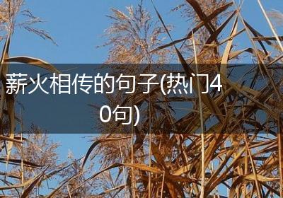 薪火相传的句子(热门40句)