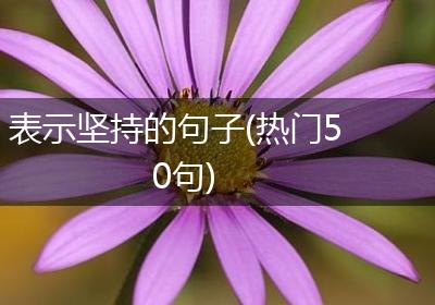 表示坚持的句子(热门50句)