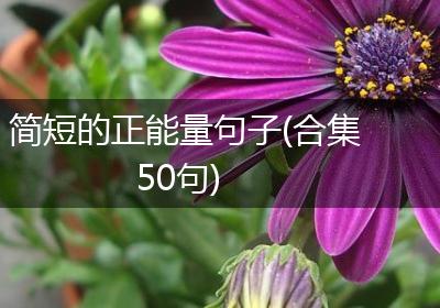 简短的正能量句子(合集50句)