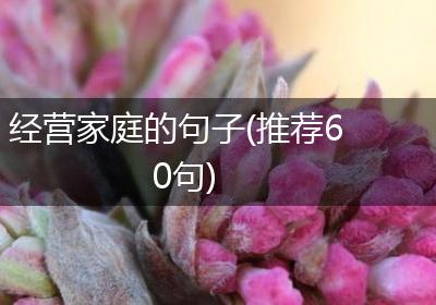 经营家庭的句子(推荐60句)
