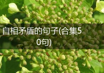 自相矛盾的句子(合集50句)