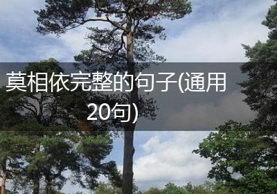 莫相依完整的句子(通用20句)