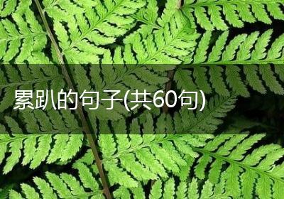 累趴的句子(共60句)