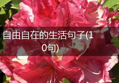 自由自在的生活句子(10句)