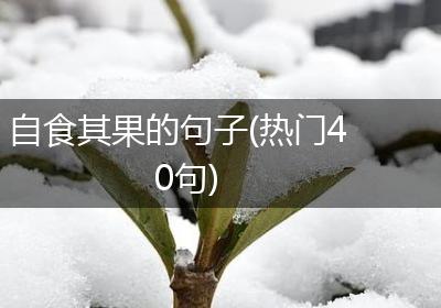 自食其果的句子(热门40句)