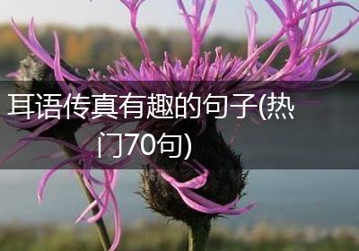 耳语传真有趣的句子(热门70句)