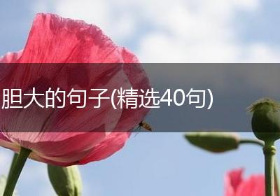 胆大的句子(精选40句)