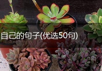 自己的句子(优选50句)